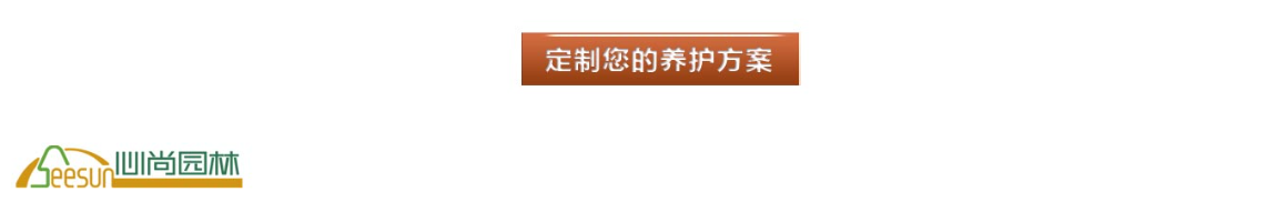 首页| J9集团国际站官方网站