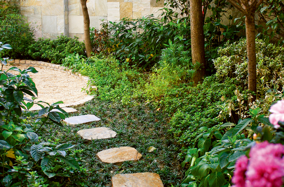 首页| J9集团国际站官方网站